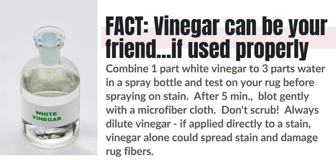 FACT: Vinegar can be your friend...if used properly. Combine 1 part white vinegar to 3 parts water in a spray bottle and test on your rug before spraying on a stain. After 5 min., blot gently with a microfiber cloth. Don't scrub! Always dilute vinegar -- if applied directly to a stain, vinegar alone could spread stain and damage rug fibers.