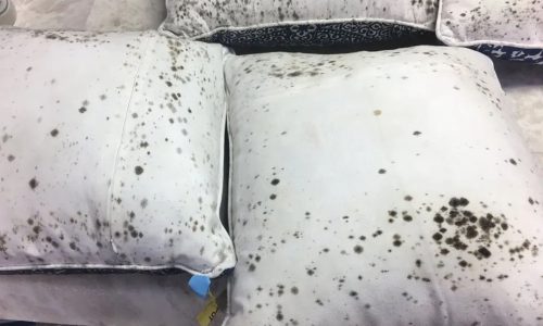 Before-restoration photo of pillows shows stains