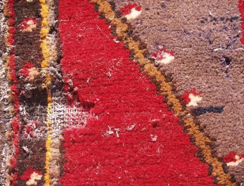 Moth damage to a colorful area rug